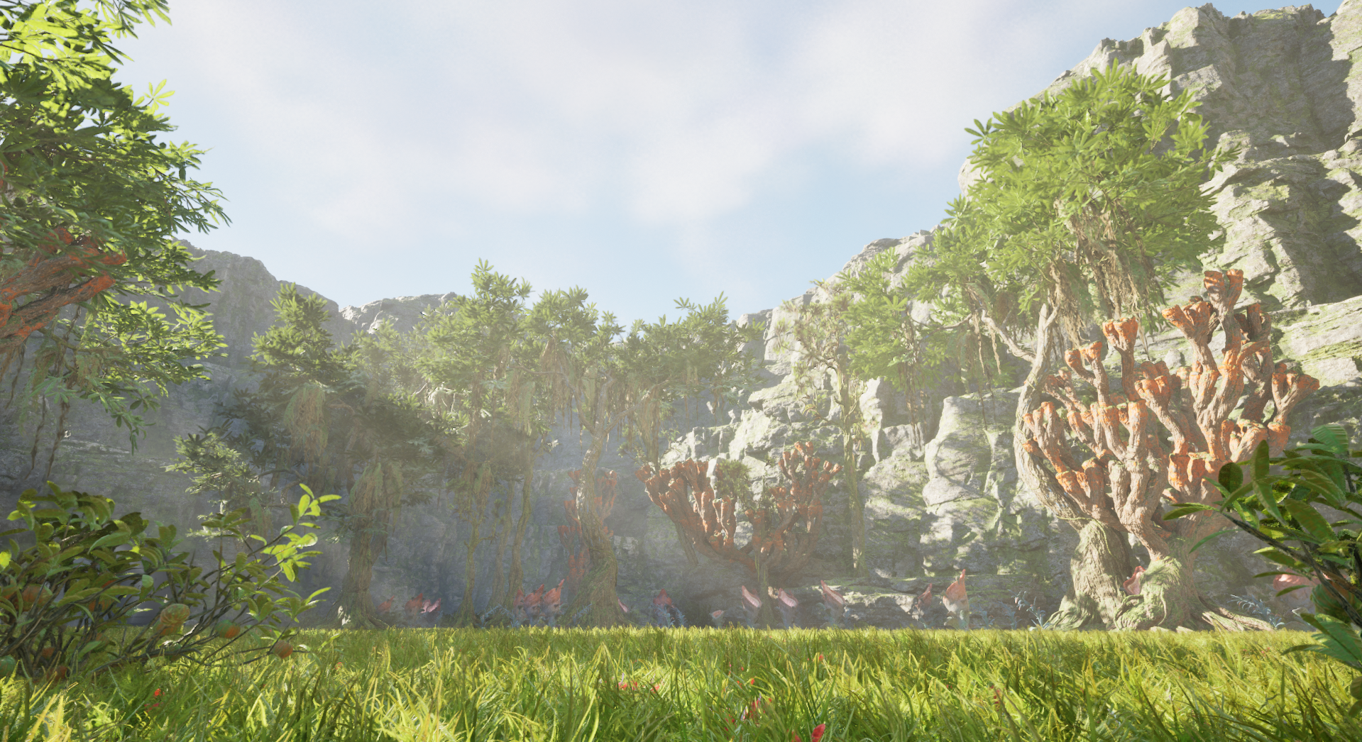 PROJECT-NOVUUM Main